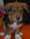 Tucker