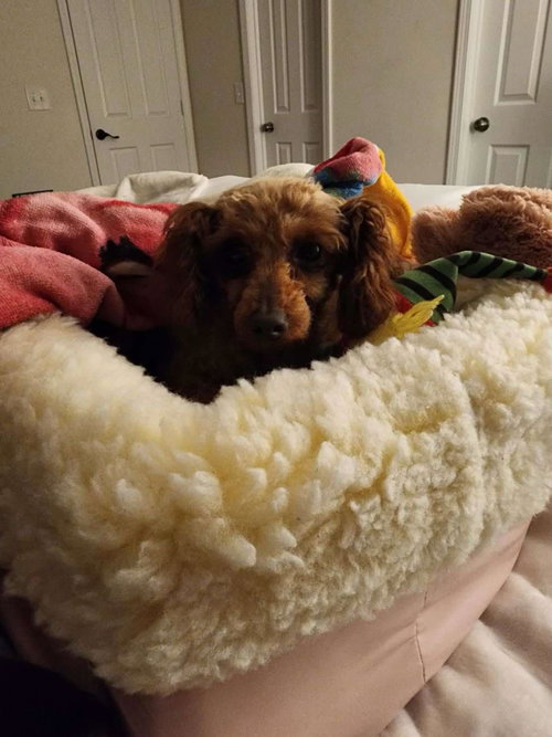 Marnie