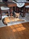 CHARLEY