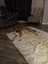 CHARLEY