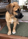 Jack