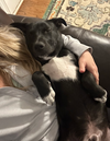 Kohl