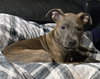 Athena