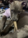 Athena