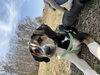 Ethel (New Mexico Litter)