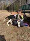 Ethel (New Mexico Litter)