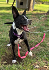Dottie (Peter Pan Momma)