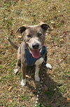 Peter Pan (Peter Pan Litter) - Photo 1