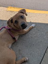 Finch - Photo 9