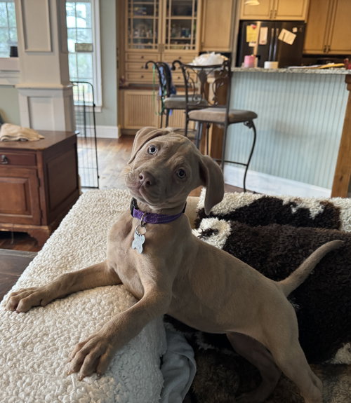 Zoey w