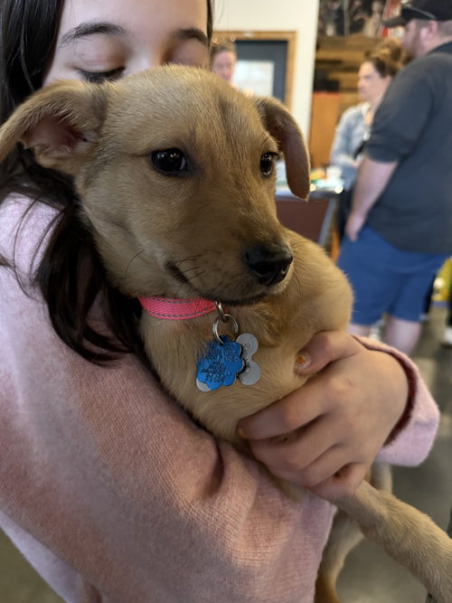 Skye