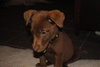 Tyce-Application Pending