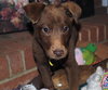 Tyce-Application Pending