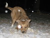 Vito-Application Pending