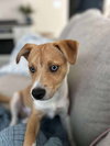 Trouble AKA Danny