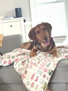 Benny