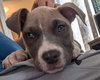 Amy