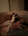 Milo