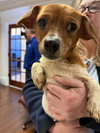Tiny aka Dixie