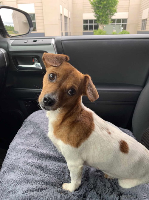 Tiny aka Dixie