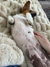Tiny aka Dixie