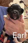 Earl