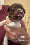 Izzie