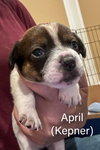 April