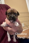 Christina