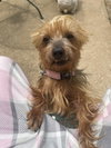 Tilly