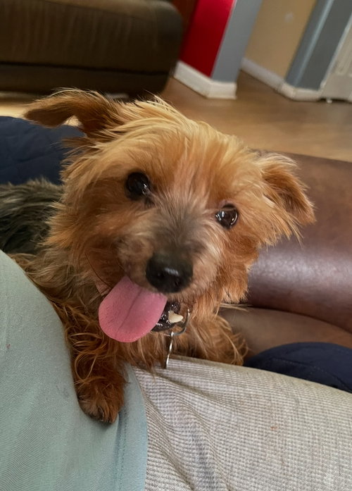 Tilly