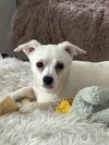 Charlie