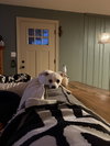Charlie