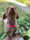 Mimi aka Millie