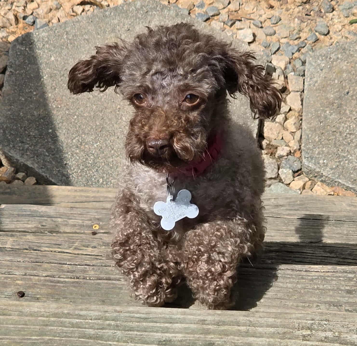 Mimi aka Millie Image