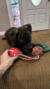 Kevin Malone (The Office Litter)