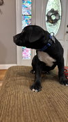 Creed Bratton (The Office Litter)