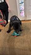 Creed Bratton (The Office Litter)