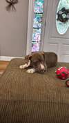 Meredith Palmer (The Office Litter)