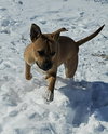Roxie