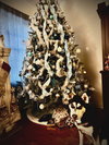 Victoria - Photo 3