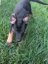 Ellie
