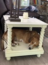 Daisy Doolittle