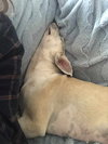 Yuki
