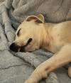 Yuki