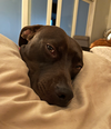 Sadie Maybelline