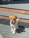 Ruby H