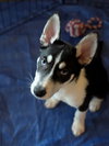 Jonsey (Fortnite Litter)