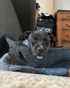 Quinn