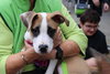 Blackbeard (Pirate Litter)